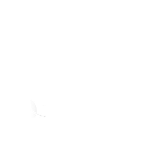 OFF Offical Selection 2017